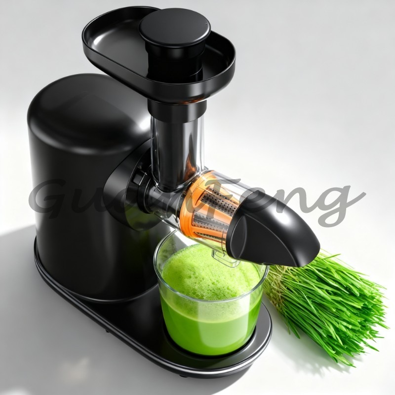 Juicer Cold Press Slow - Koudpers slowjuicer, elektrische extractor, stille, makkelijk