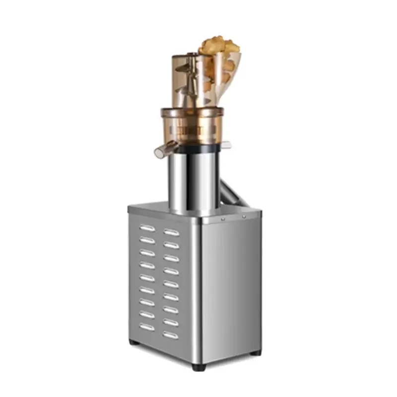 Juicer Cold Press Slow - Professionele Juicer Extractor Machine met Koude