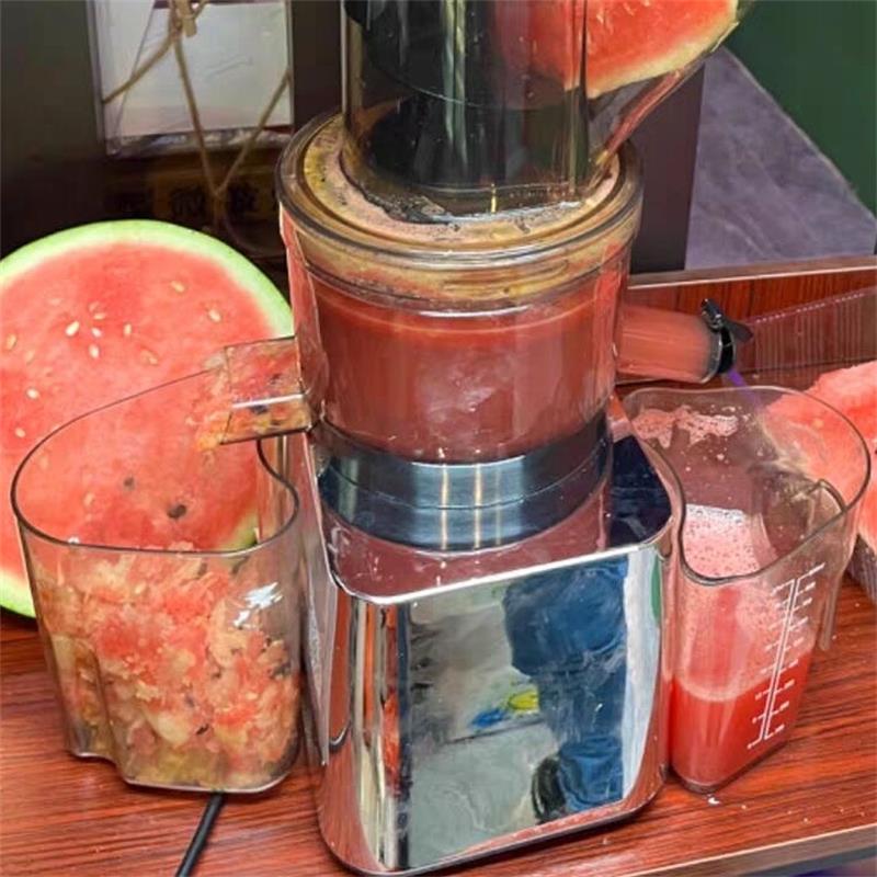 Juicer Cold Press Slow - 500W Commerciële en huishoudelijke slowjuicer met