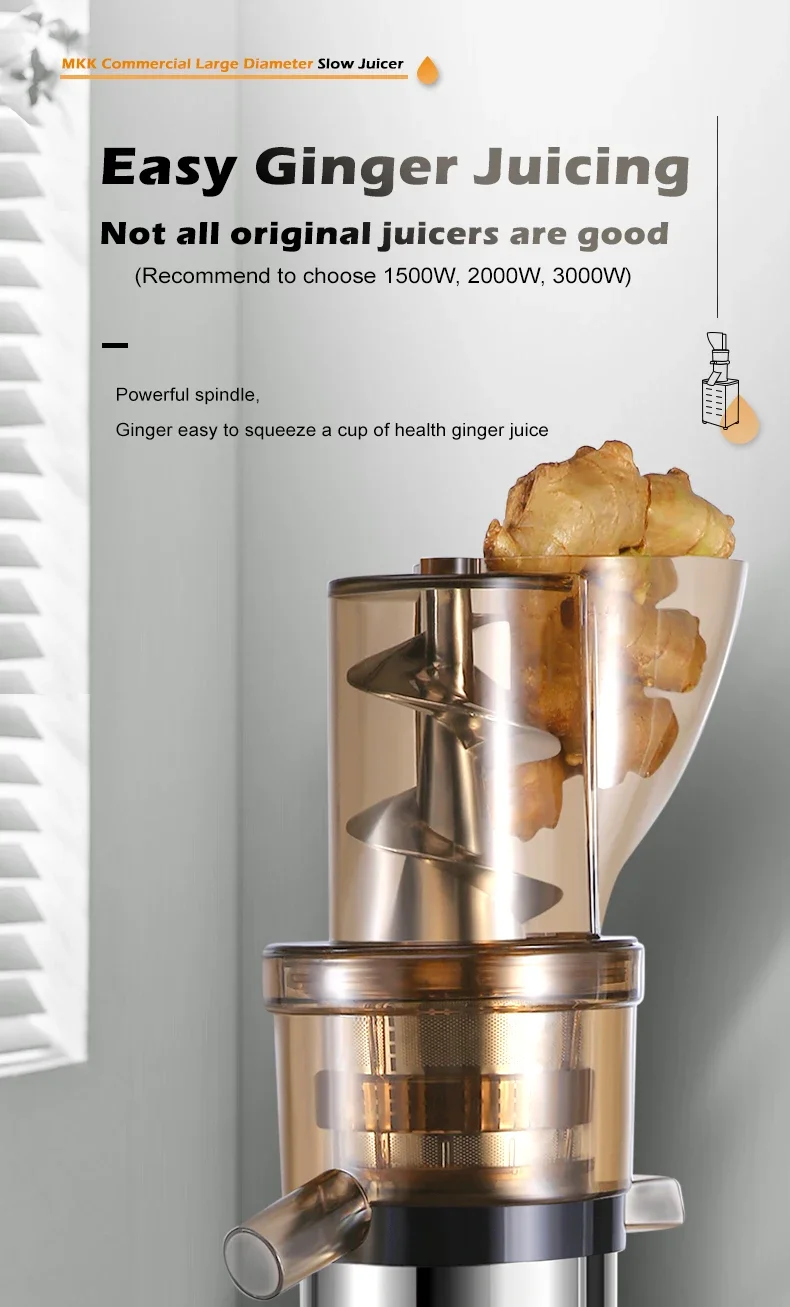 Professionele Juicer Extractor - Juicer Cold Press Slow recensie en prijs